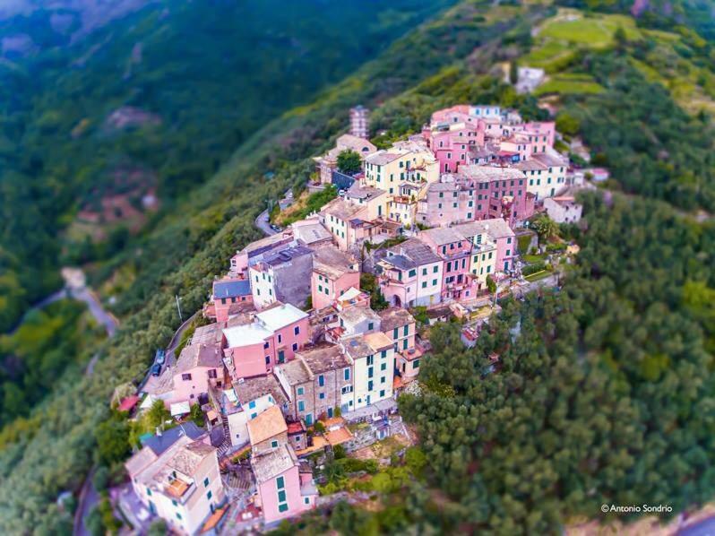 Cinqueterre - Terrace And Beautiful View Lejlighed Levanto Eksteriør billede